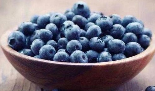 娱乐圈灵异揭秘与邹兆龙视频魅力解析