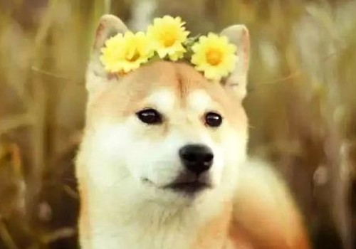 每日吃瓜黑料揭秘娱乐圈年度热辣话题