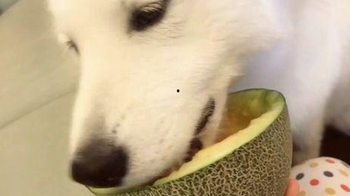 宋亚轩与娱乐圈新人逆袭：光鲜背后的努力与智慧