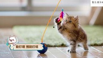 揭秘“娱乐吃瓜酱”：从网络神秘人到好脾气明星的蜕变