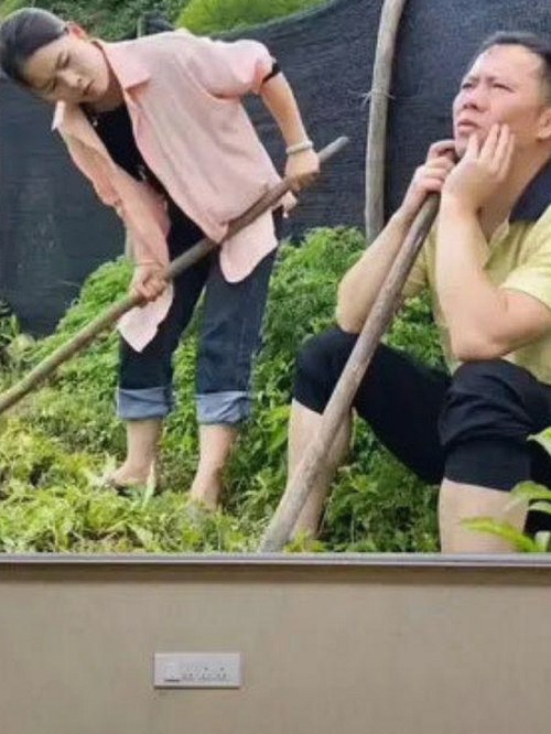 娱乐圈最新风云：明星团体排名浮出水面，揭秘背后吃瓜事件全程回顾