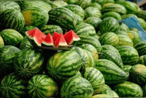 吃瓜群众头像大集合：娱乐圈饭圈新宠引关注